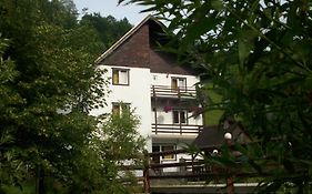Vila Doina Branului