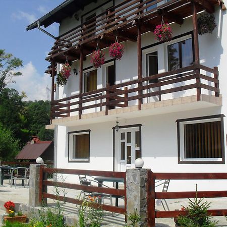 Vila Doina Branului Bran  Exterior foto