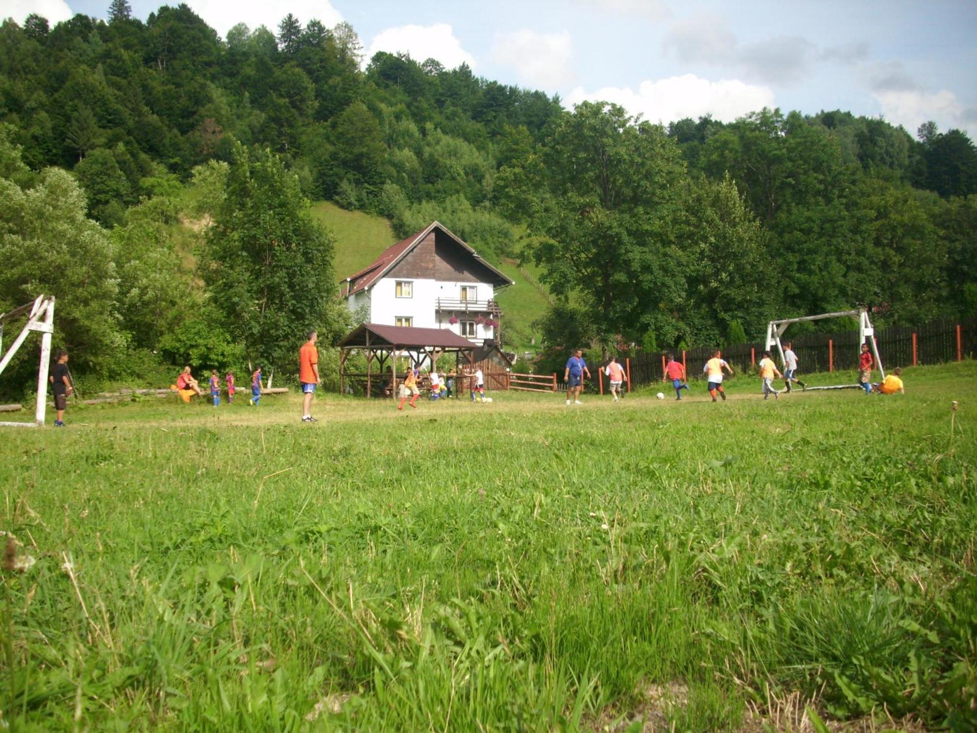Vila Doina Branului Bran  Exterior foto