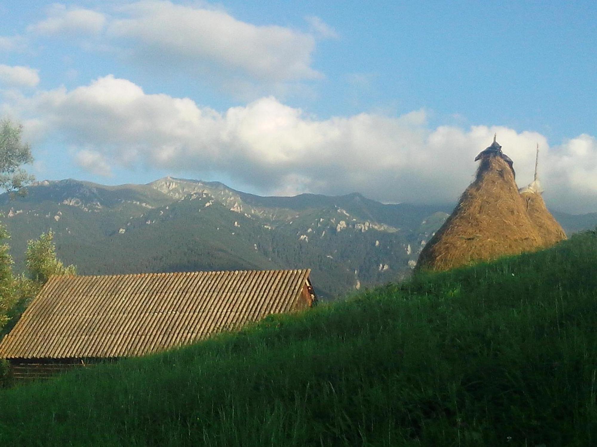 Vila Doina Branului Bran  Exterior foto