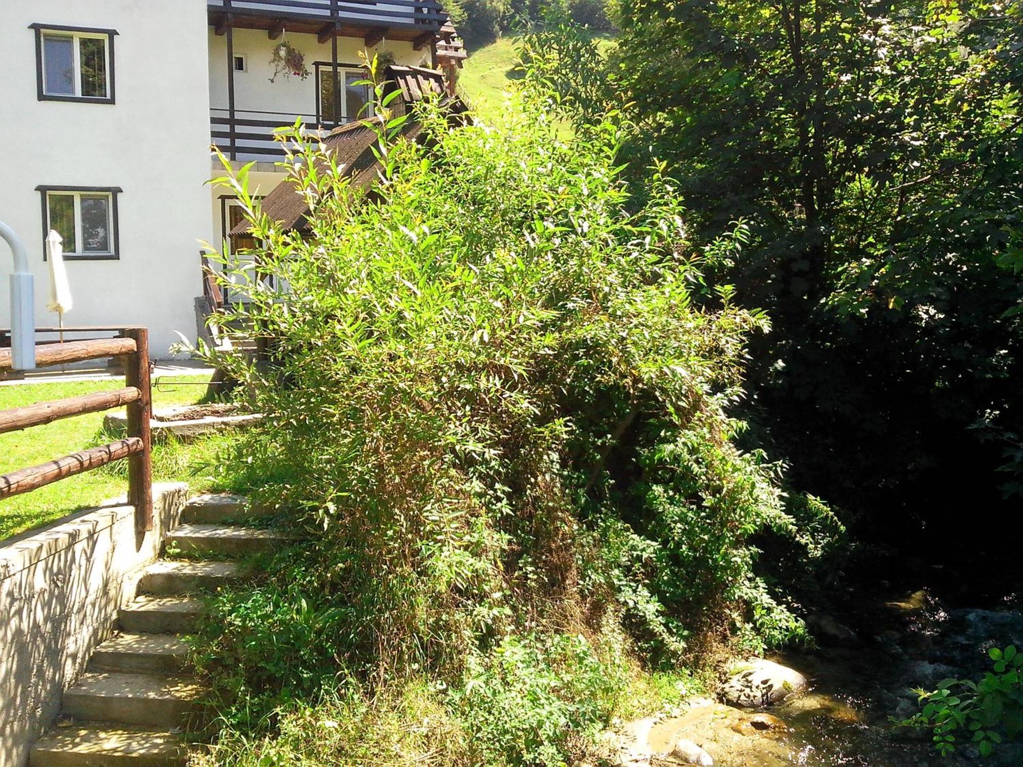 Vila Doina Branului Bran  Exterior foto